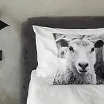 Biala Owca 3* Zakopane