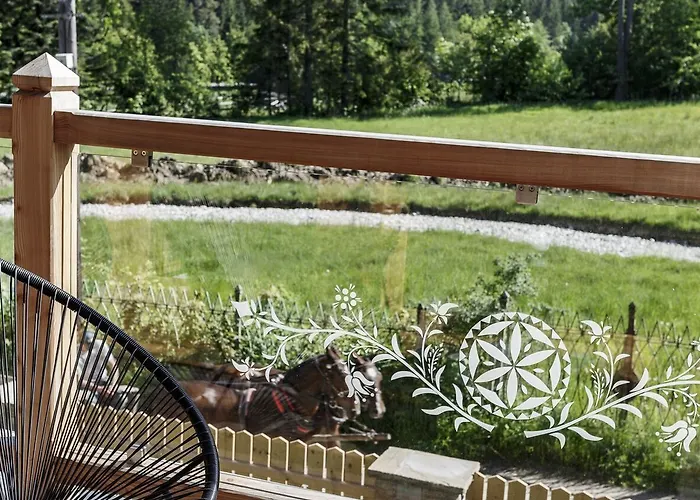 Biala Owca 住宿加早餐酒店 扎科帕内