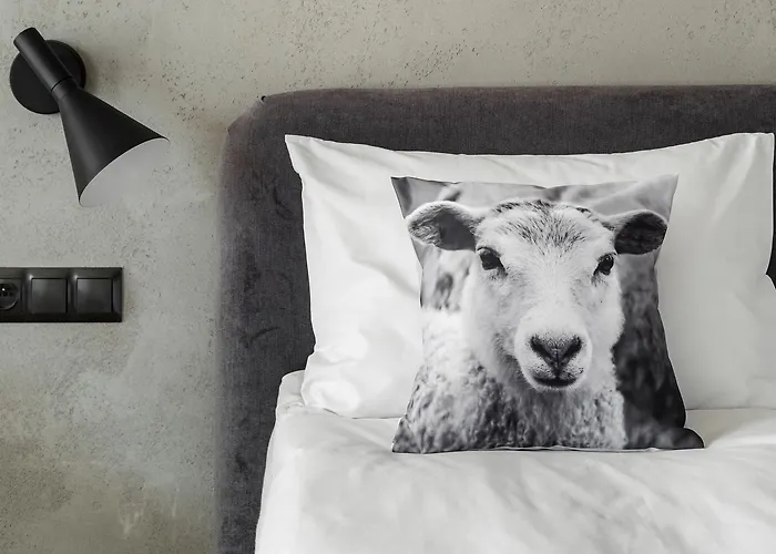 Biala Owca 3* Zakopane